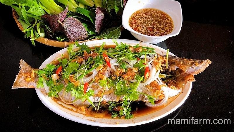 Cá chẽm hấp không ngon