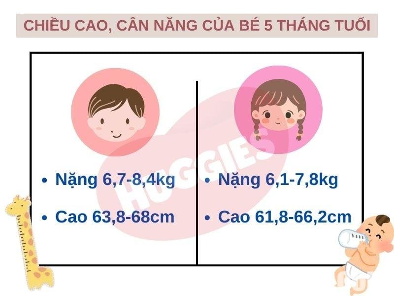 Theo dõi sự phát triển của bé qua ăn dặm